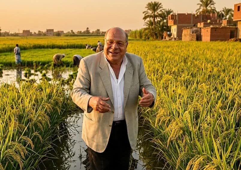 قرار جريء ينقذ موارد مصر المائية..حكاية مقترح الدكتور عبد العظيم طنطاوي لتقليص مناوبات ري الأرز