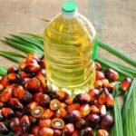 تراجع حاد في إنتاج إندونيسيا من زيت النخيل وظلاله الثقيلة على فاتورة الاستيراد في مصر