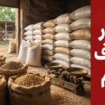 أسعار الأعلاف اليوم