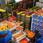 الصادرات الغذائية المصرية إلى فرنسا تسجل 53.92 مليون دولار.. و4 منتجات مجمدة تستحوذ على 58%